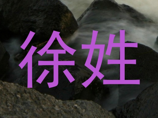 徐姓