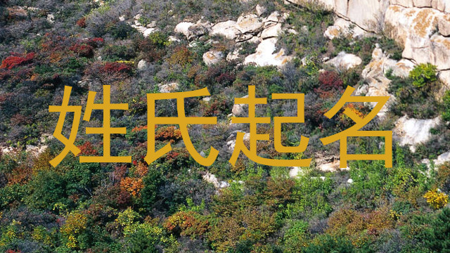 姓氏起名