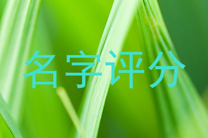 名字评分