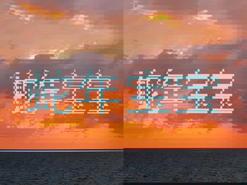 蛇年宝宝