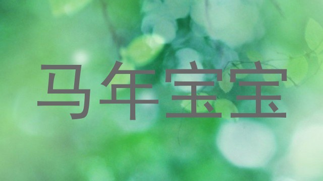 马年宝宝