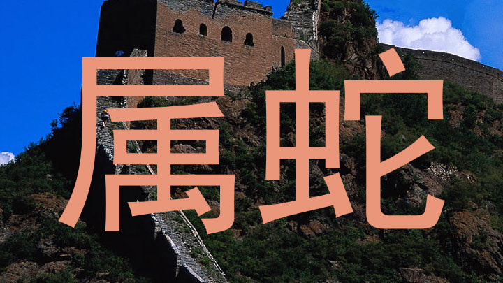 属蛇