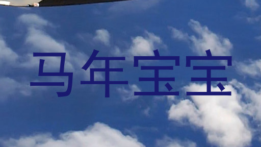马年宝宝