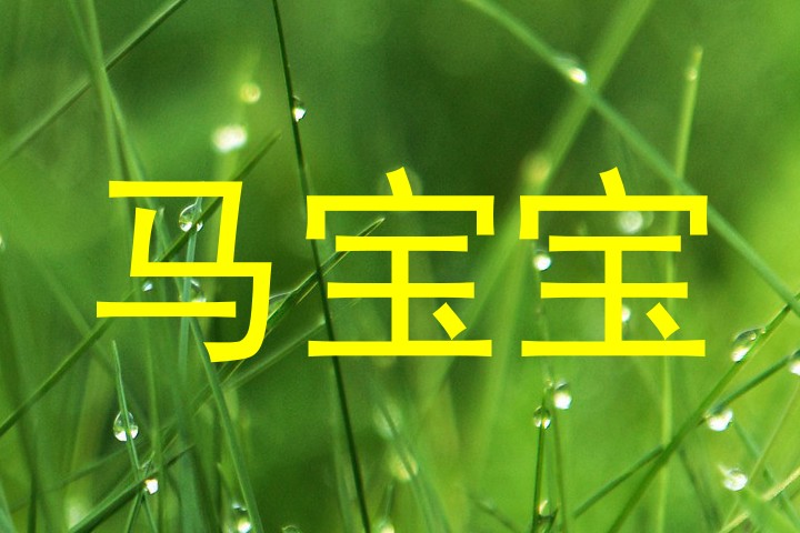 马宝宝