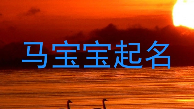 马年宝宝