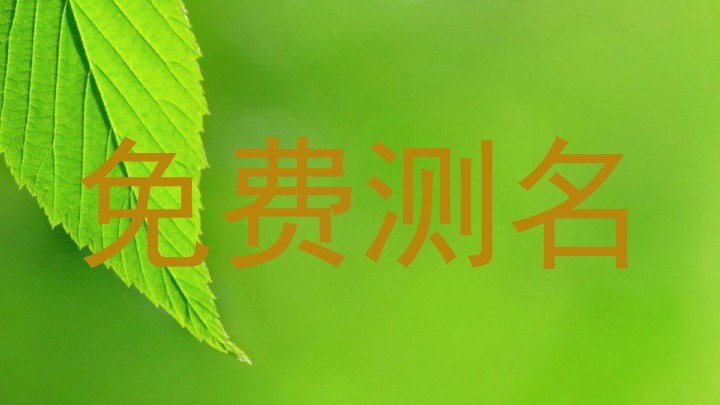 免费测名