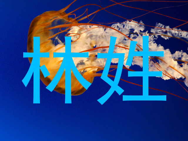 林姓