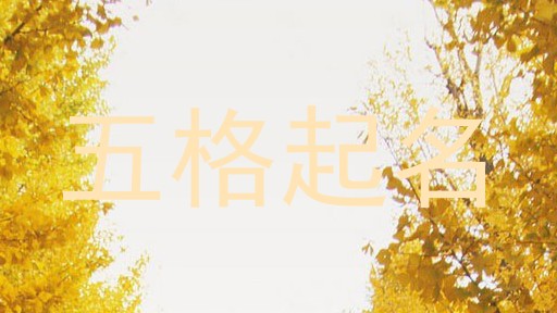 五格起名