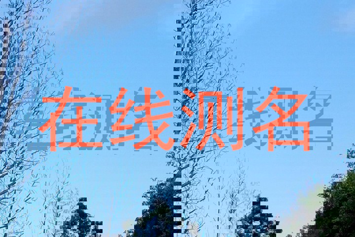 在线测名