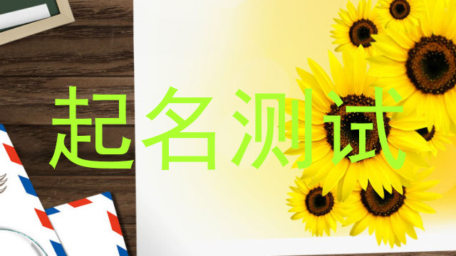 起名测试