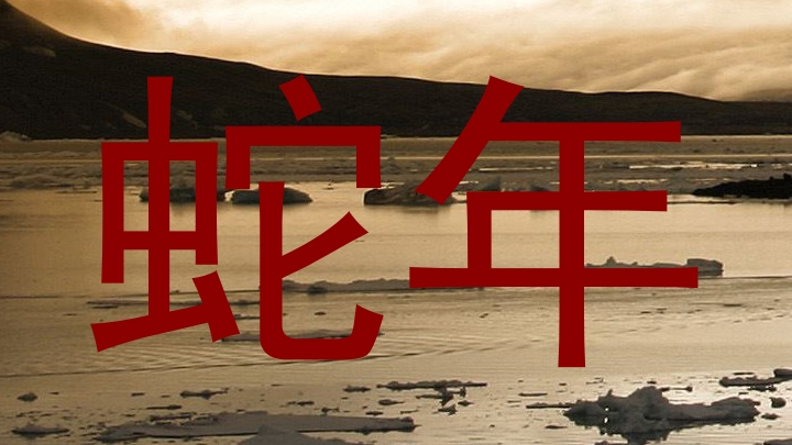 蛇年
