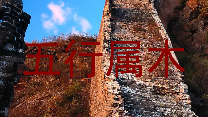 五行属木