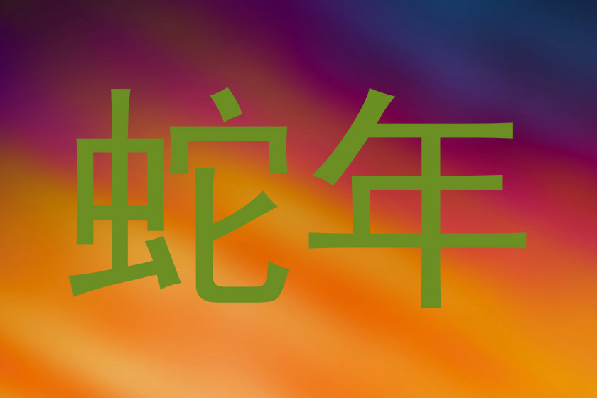 蛇年