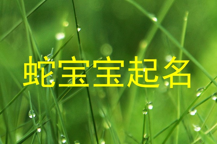 蛇年宝宝
