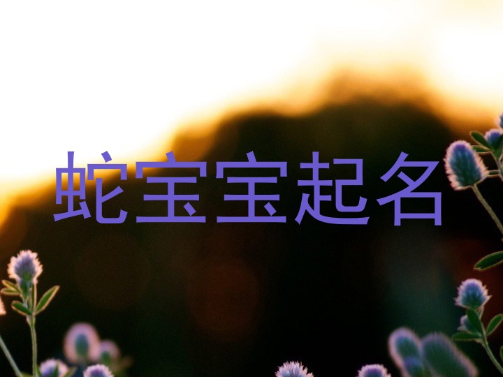 蛇宝宝起名