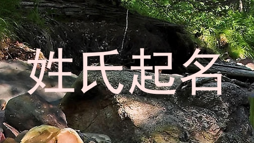 姓氏起名