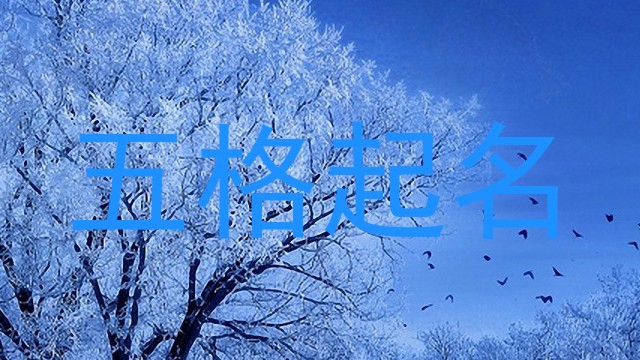 五格起名