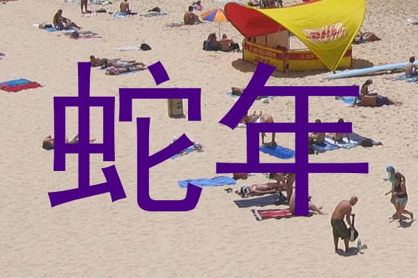 蛇年