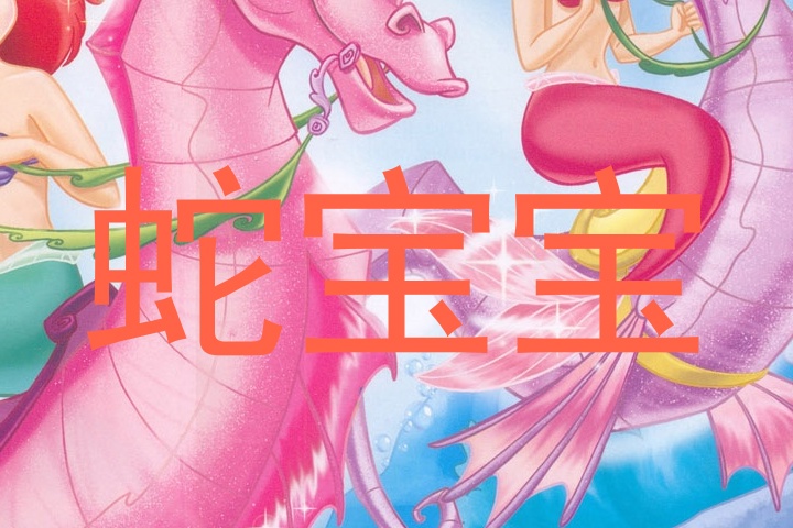 蛇宝宝