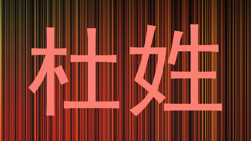 杜姓