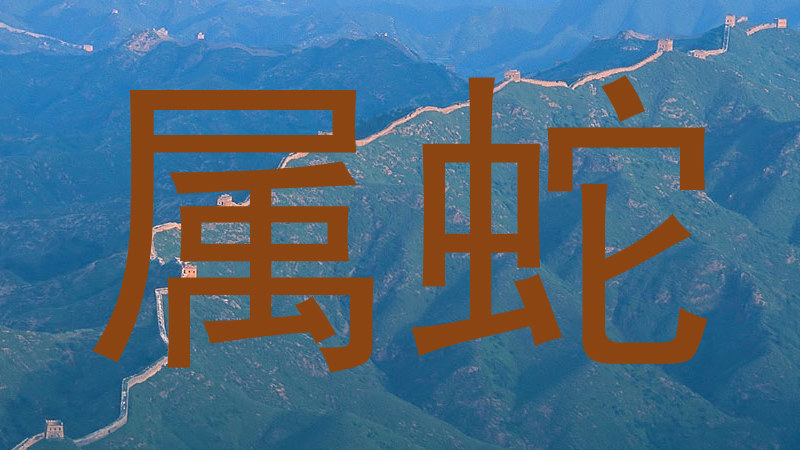 属蛇