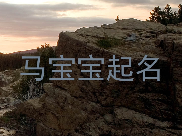 马宝宝起名