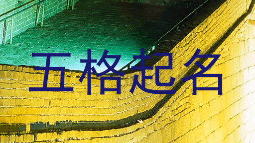 五格起名