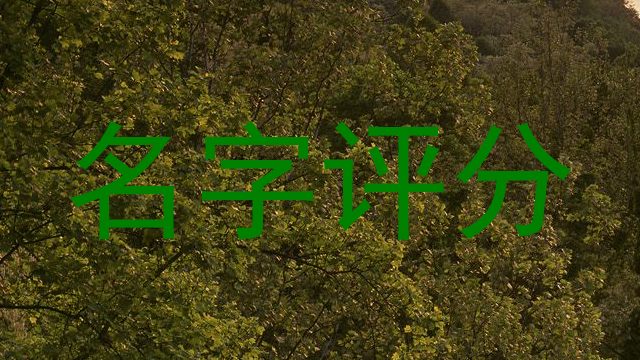 名字评分