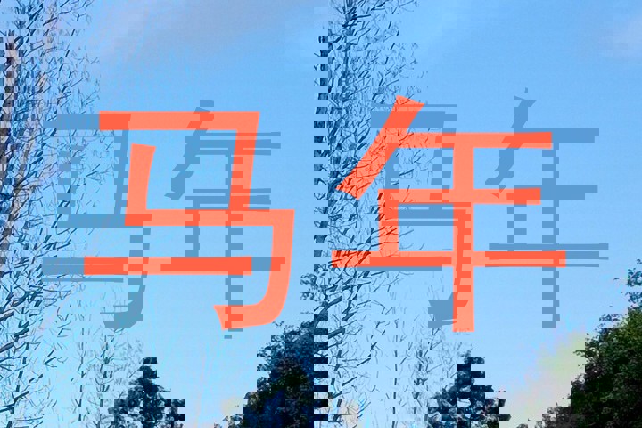 马年