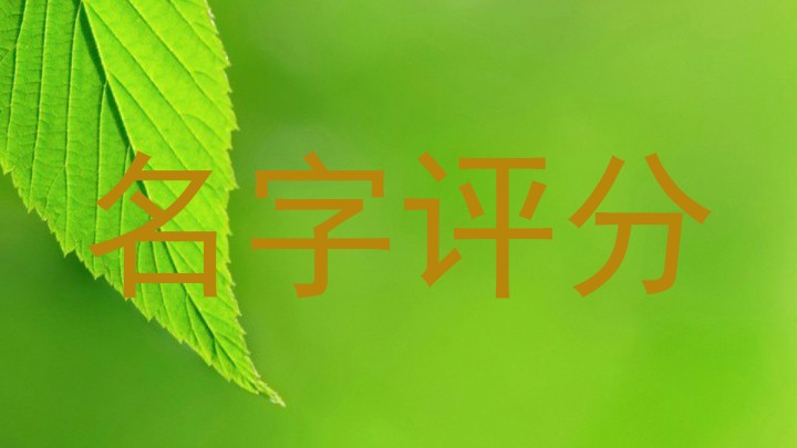 名字评分