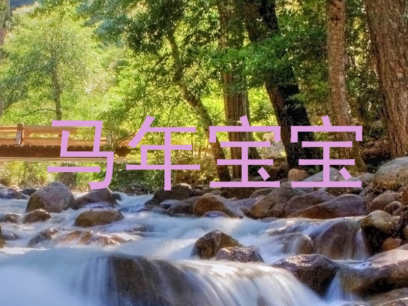 马年宝宝