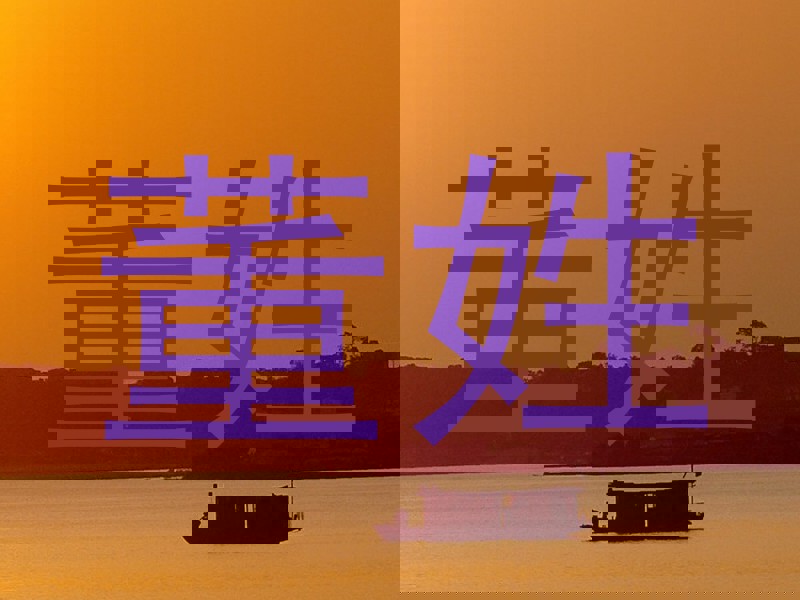 董姓