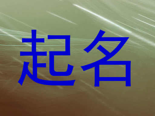 起名