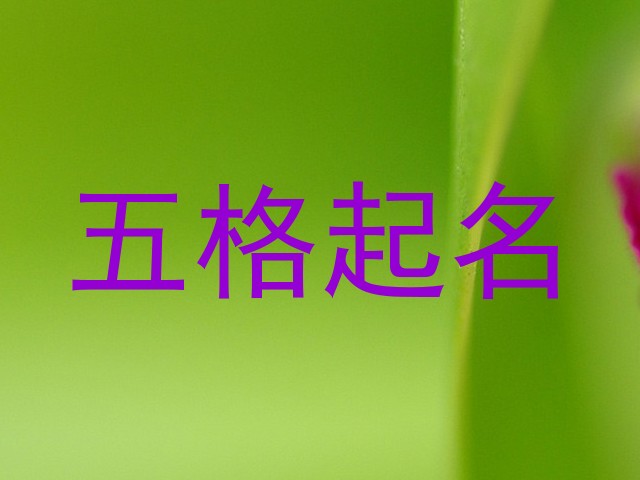 五格起名