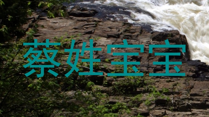 蔡姓宝宝