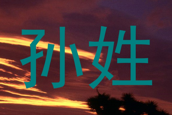 孙姓