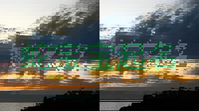 蛇宝宝起名