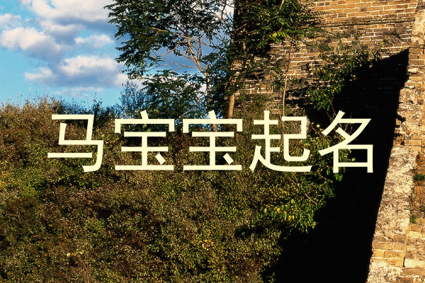 马宝宝起名