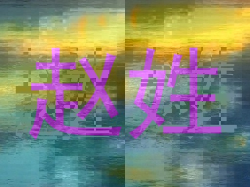 赵姓