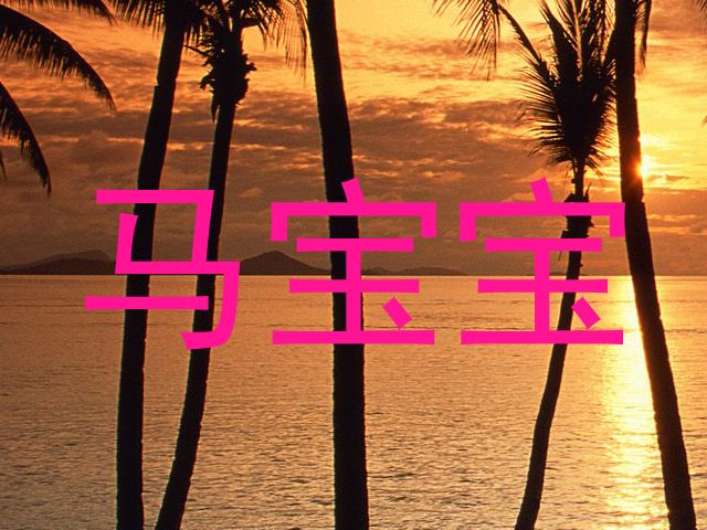 马宝宝