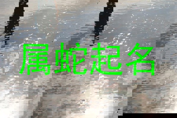 属蛇起名