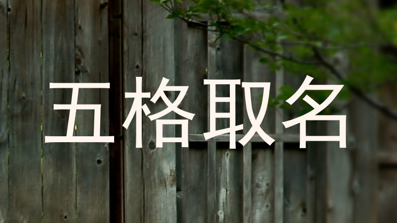 五格取名