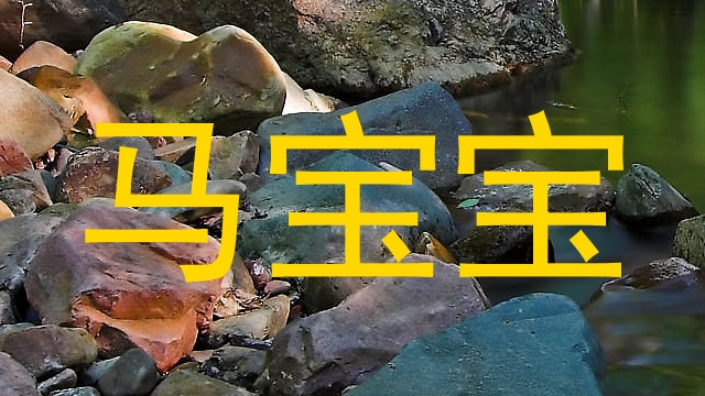 马宝宝