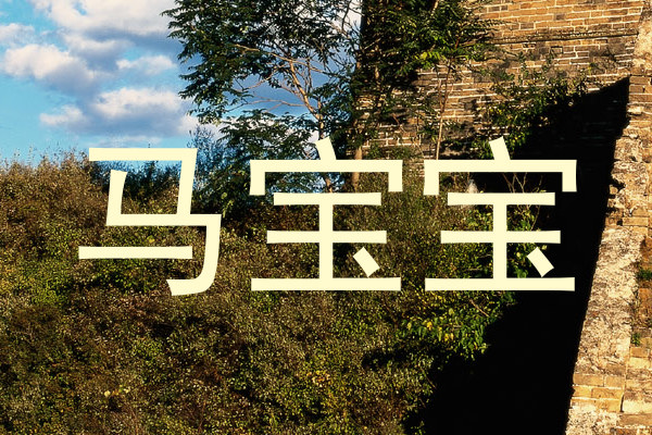 马宝宝