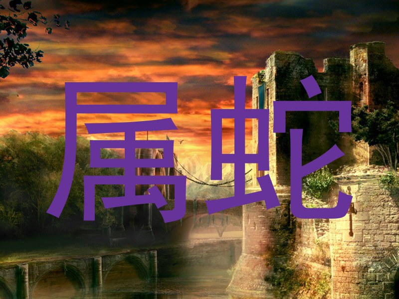 属蛇