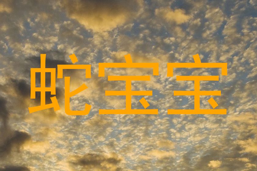 蛇宝宝