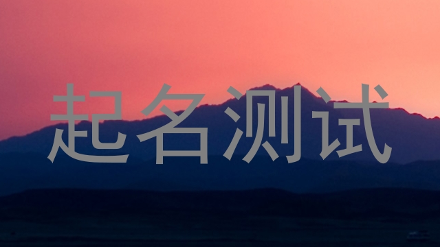 起名测试