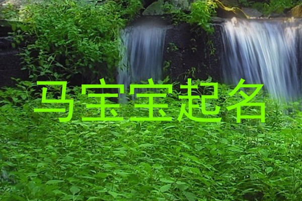 马宝宝起名
