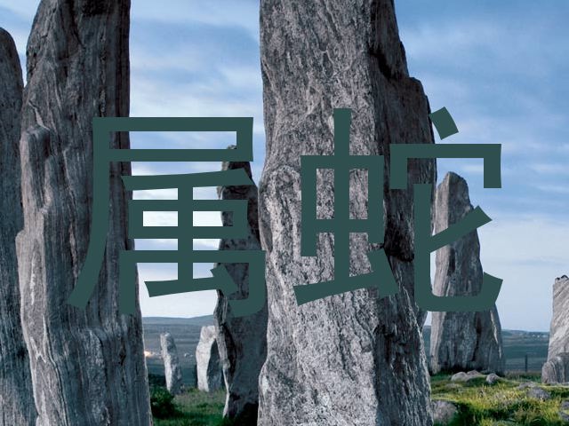 属蛇