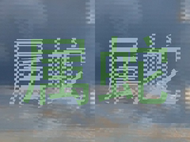 属蛇